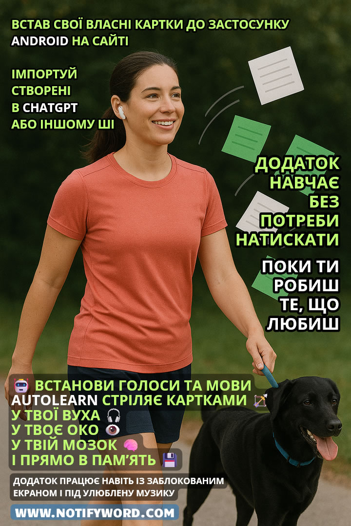 AUTOLEARN стріляє картками — прямо в твої вуха 🎧, очі 👁️, мозок 🧠 і в пам’ять 💾